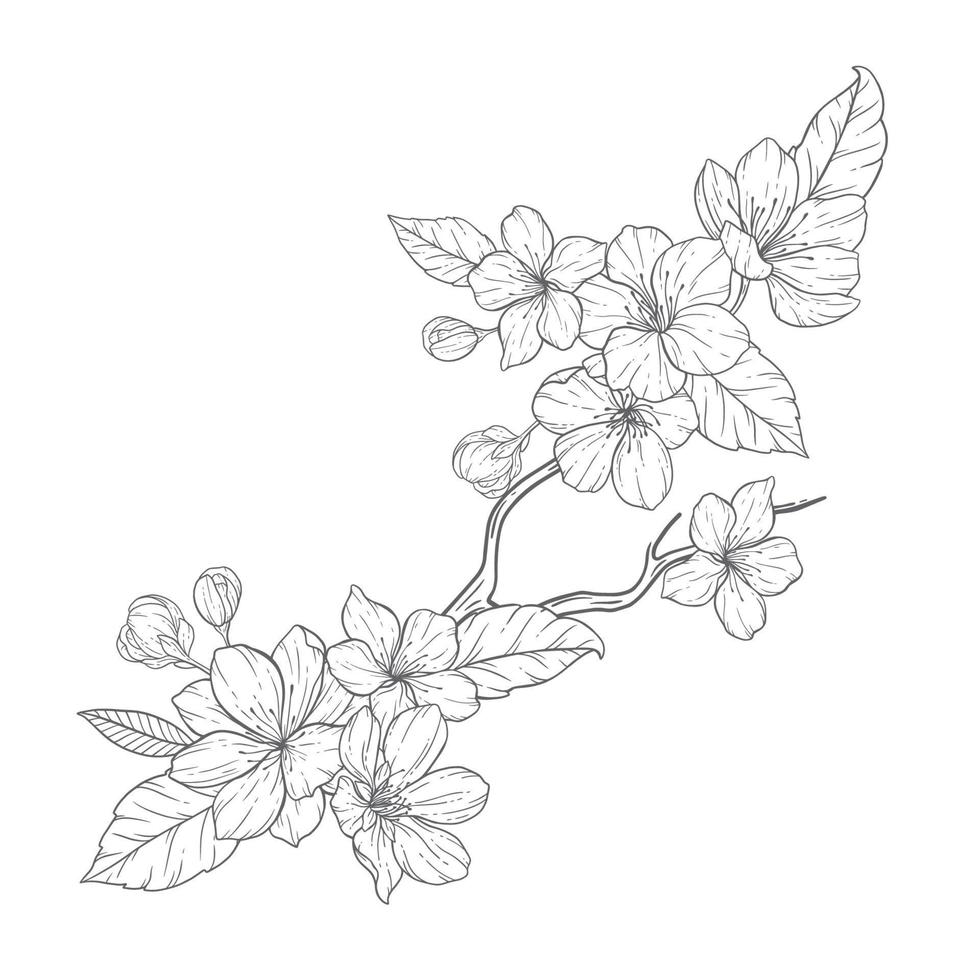 Blumen- Linie Kunst, Sakura Blume Gliederung Illustration Satz. Hand gemalt Gekritzel Blumen. perfekt zum Hochzeit Einladungen, Braut- Dusche und Blumen- Gruß Karten. schwarz und Weiß Schablone Blumen isoliert vektor