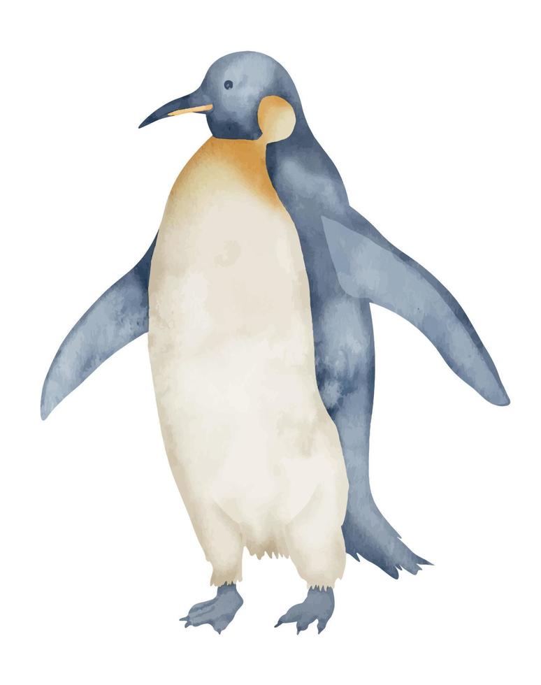 Aquarell Kaiser Pinguine. Hand gezeichnet Illustration isoliert auf Weiß Hintergrund. Zeichnung von Antarktis Tier im Pastell- Farben. skizzieren von Polar- Vogel. skizzieren zum Logo oder Symbol. Norden Charakter. vektor