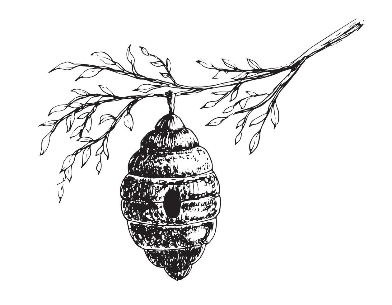 Biene Bienenstock Vektor Zeichnung. Hand gezeichnet Illustration von Bienenstock auf isoliert Hintergrund im Gliederung Stil. einfarbig skizzieren von Insekt Zuhause zum Produktion Honig. Gravur im Weiß und schwarz Farben zum Symbol