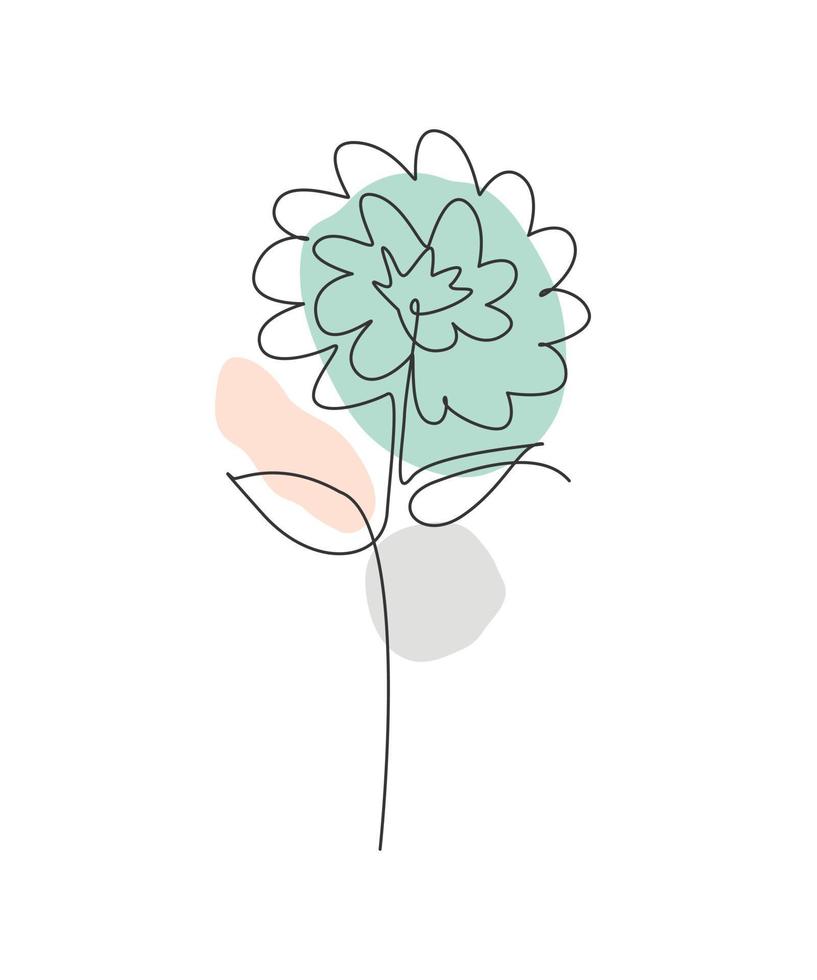 en enda linje ritning skönhet aster blomma vektor illustration. minimal tropisk blommig stil, kärleksromantiskt koncept för affisch, väggdekoratryck. modern kontinuerlig linje grafisk ritdesign