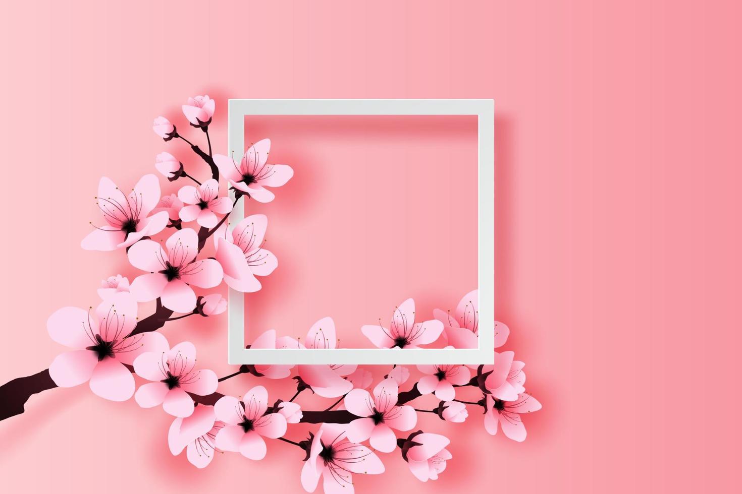 Illustration von Papier Kunst und Kunst Weiß Rahmen Frühling Jahreszeit Kirsche blühen Konzept, Frühling mit Sakura Zweig, Blumen- Kirsche blühen mit Rosa Blumen auf Platz Text Raum Weiß Hintergrund, Vektor. vektor