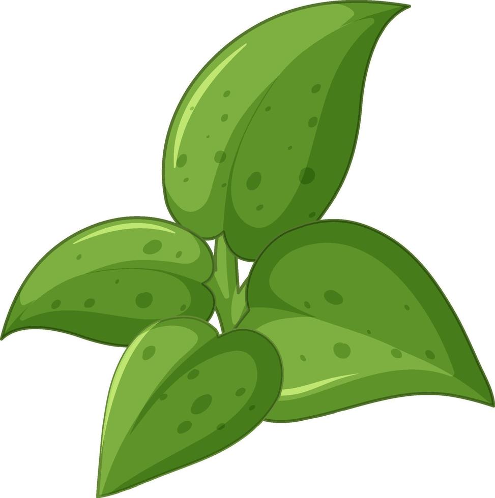 grüner Blätterkarikaturstil auf weißem Hintergrund vektor