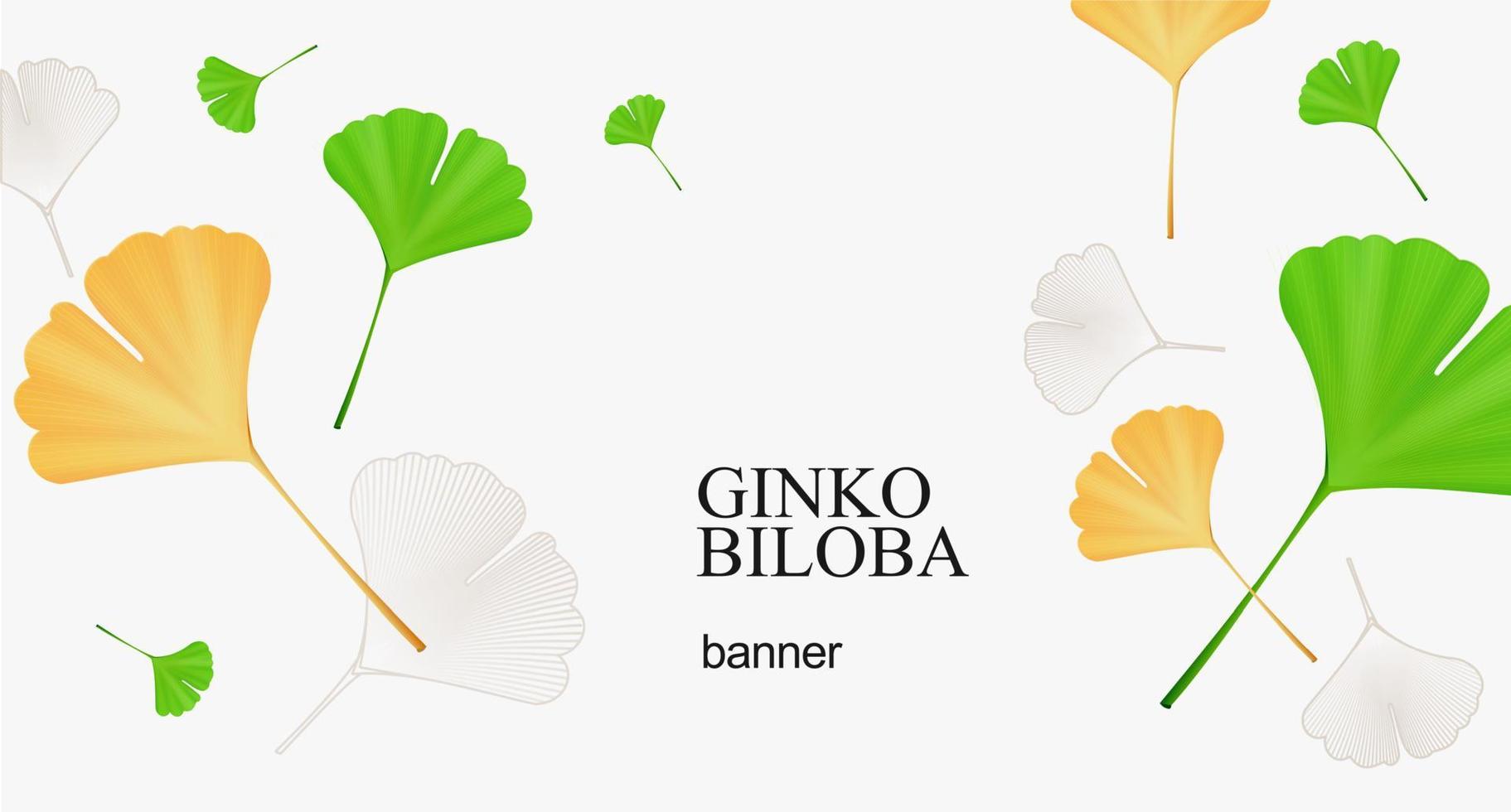 realistisch detailliert 3d Gelb und Grün Ginkgo biloba Blätter Banner. Vektor