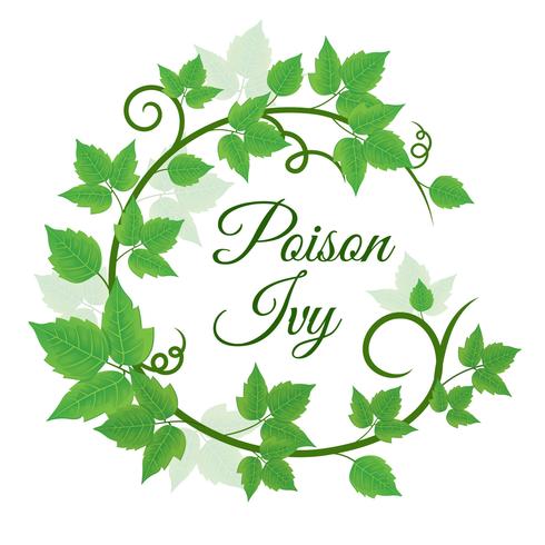 Gröna Poison Ivy Leaf Wreath Background vektor
