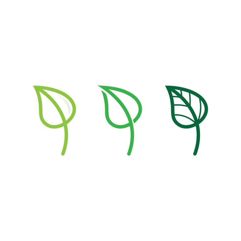 leaf logo design vektor för natur symbol mall redigerbara, gröna blad logotyp ekologi natur element vektor ikon.