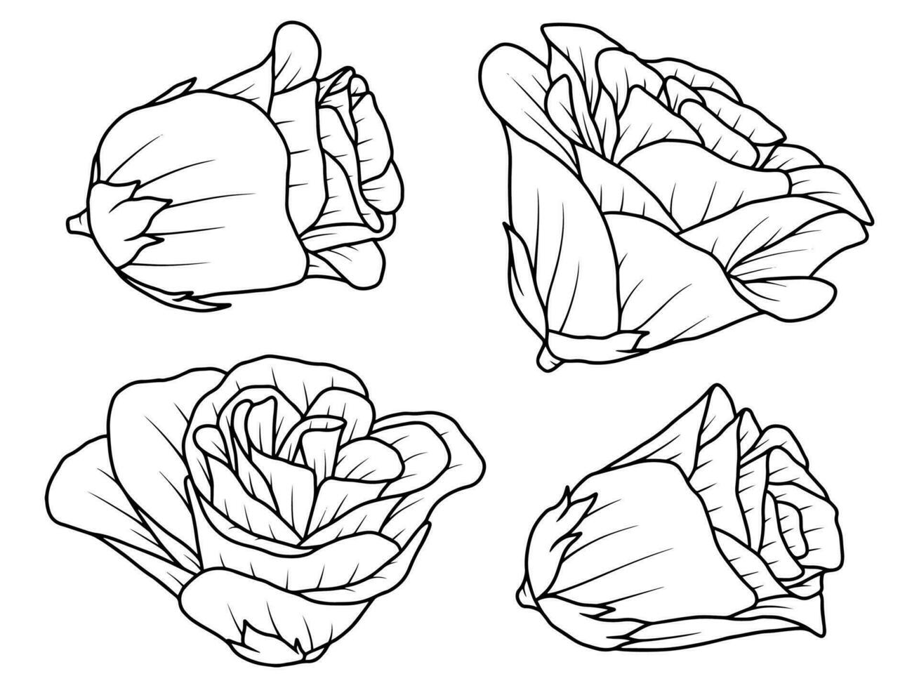 hand teckning skiss blomma linje konst vektor