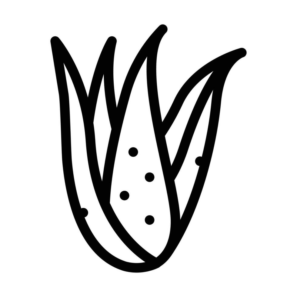 Pflanze Aloe vera Linie Symbol Vektor Illustration