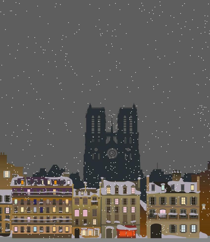 stad på natt, paris och notre dame katedral. vektor. vektor