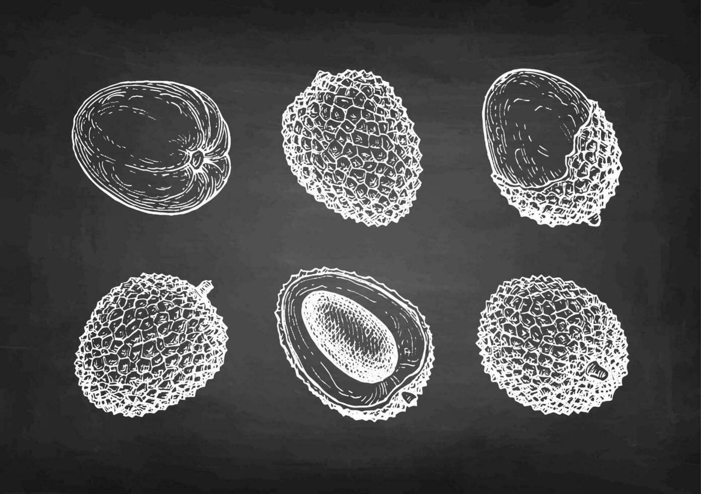 Litschi Früchte Satz. Kreide skizzieren auf Tafel Hintergrund. Hand gezeichnet Vektor Illustration. retro Stil.