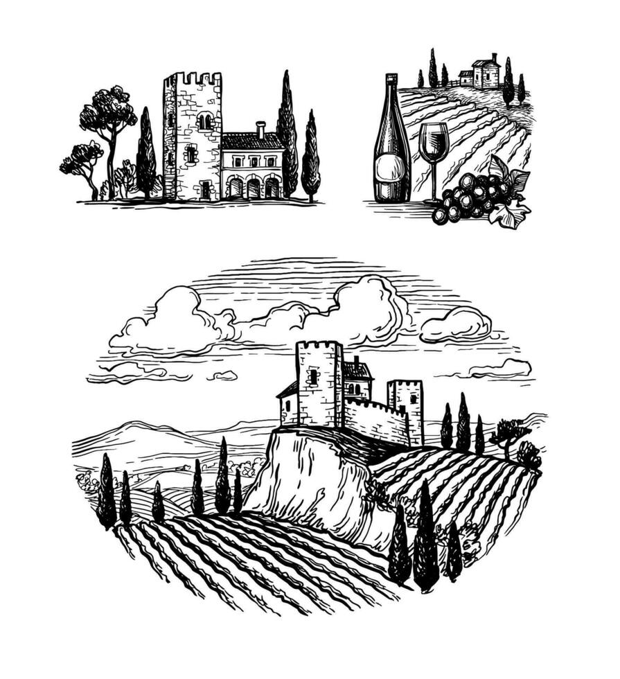 uppsättning av bläck skisser isolerat på vit bakgrund. vingård landskap. italiensk gammal Land hus. vin flaskor och glas. knippa av vindruvor. hand dragen vektor illustration. retro stil.