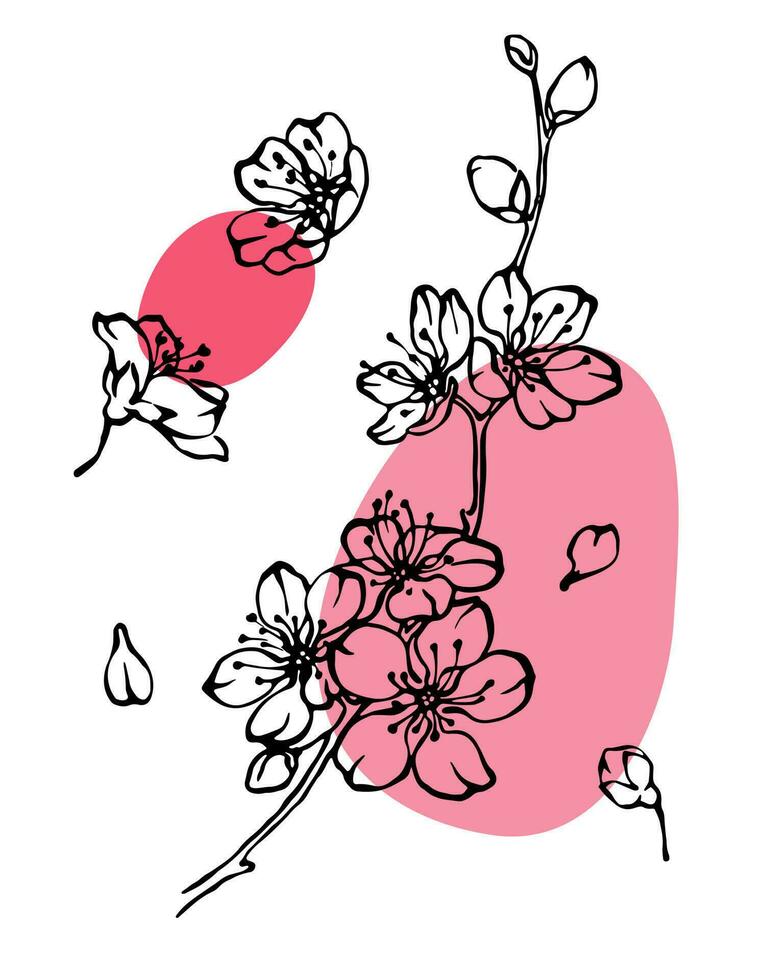 vår körsbär blomma uppsättning av översikt blomma ritningar med abstrat rosa Färg fläckar på vit bakgrund. blomning gren, blommor och kronblad vektor illustration samling.