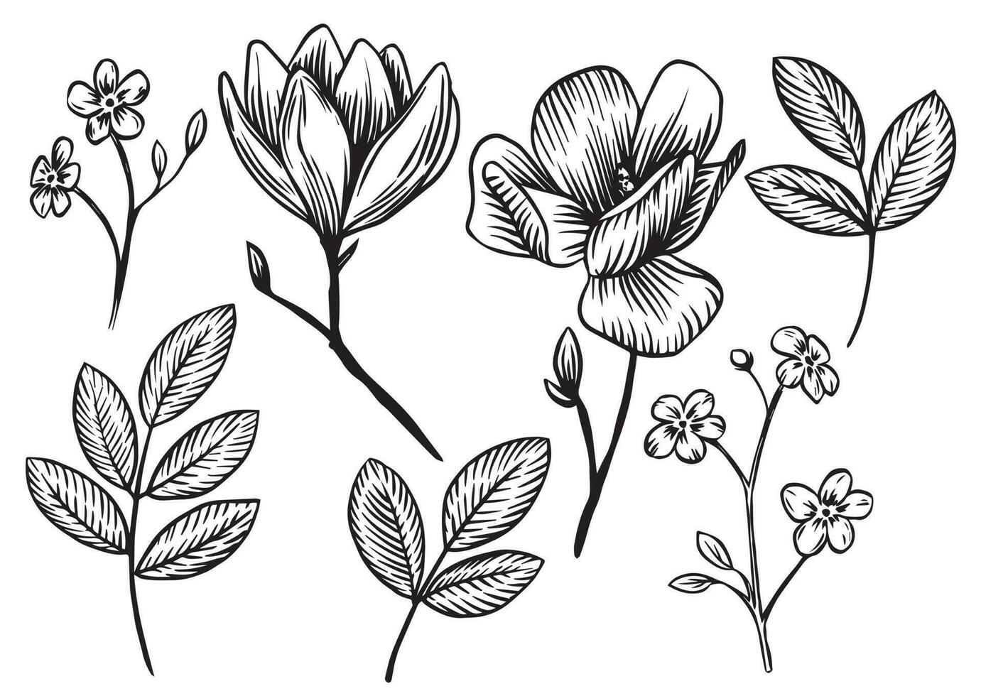 Vektor Zeichnung. einstellen von Blumen und Blätter im Jahrgang Stil. skizzieren, Grafik.