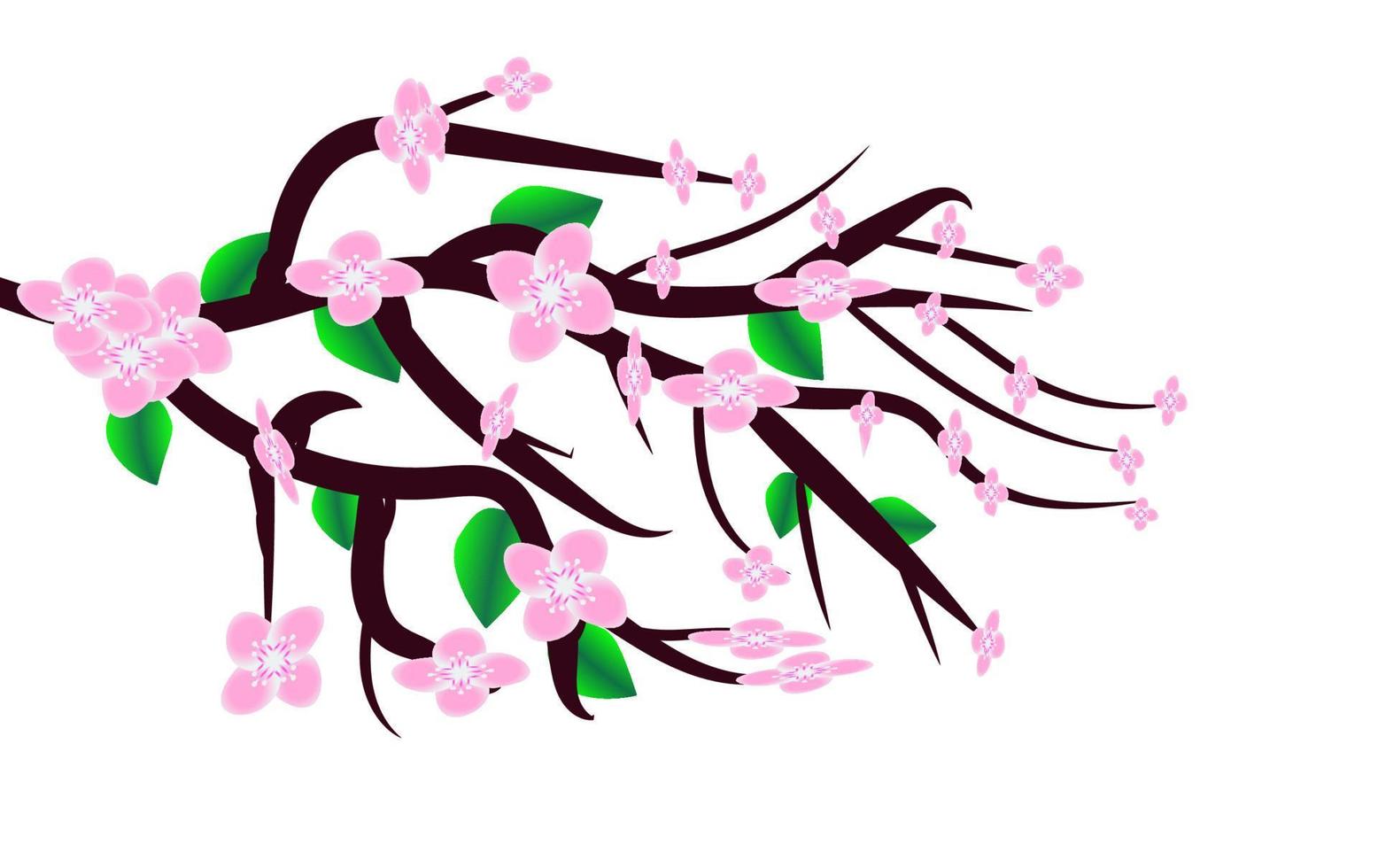 Baum Ast mit Grün Blätter mit Sakura Blume auf Weiß Vektor Hintergrund