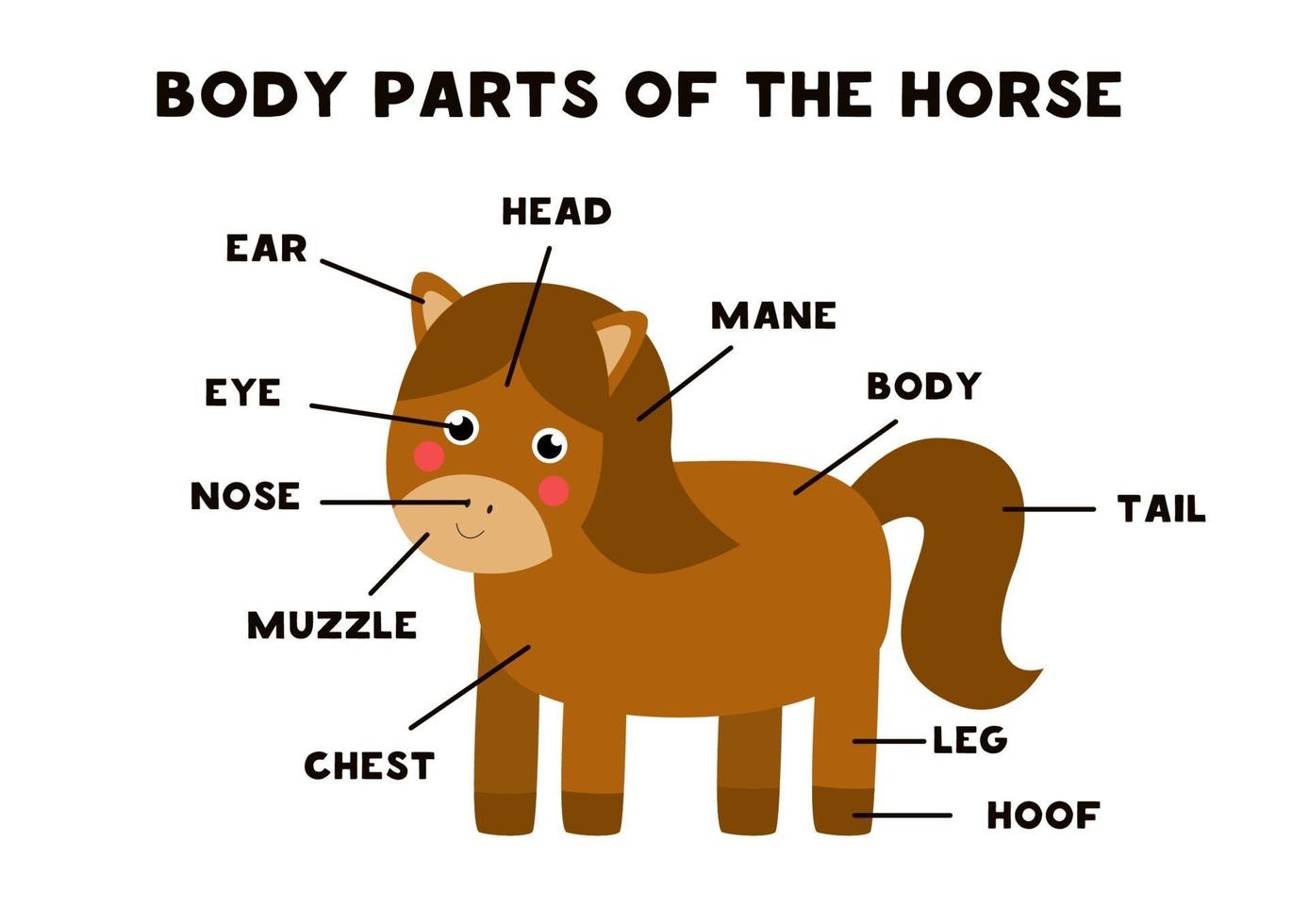 Körperteile des Pferdes. Schema für Kinder. vektor