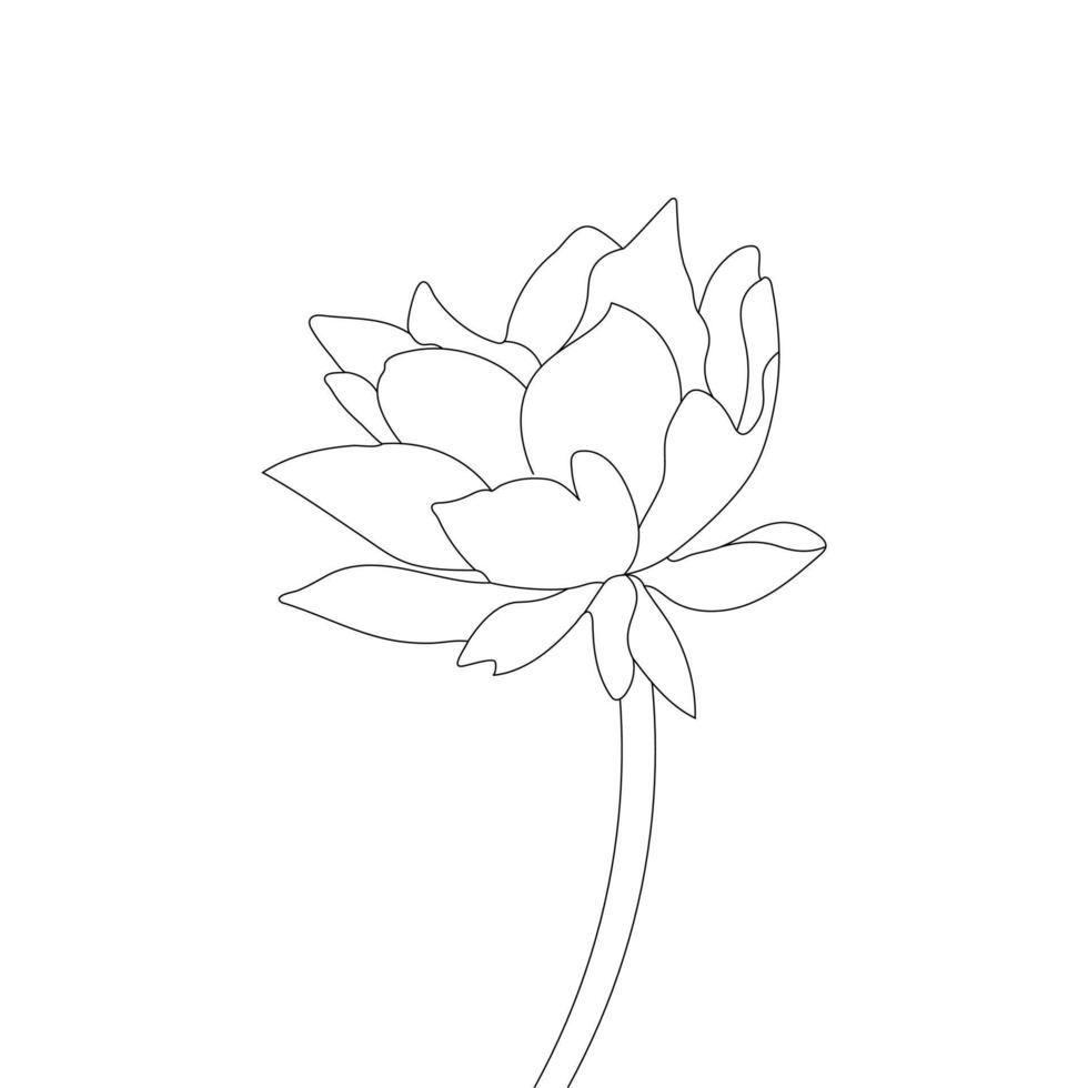 Wasser Lilie Blume Färbung Seite und Buch Lotus Hand gezeichnet Linie Kunst Vektor