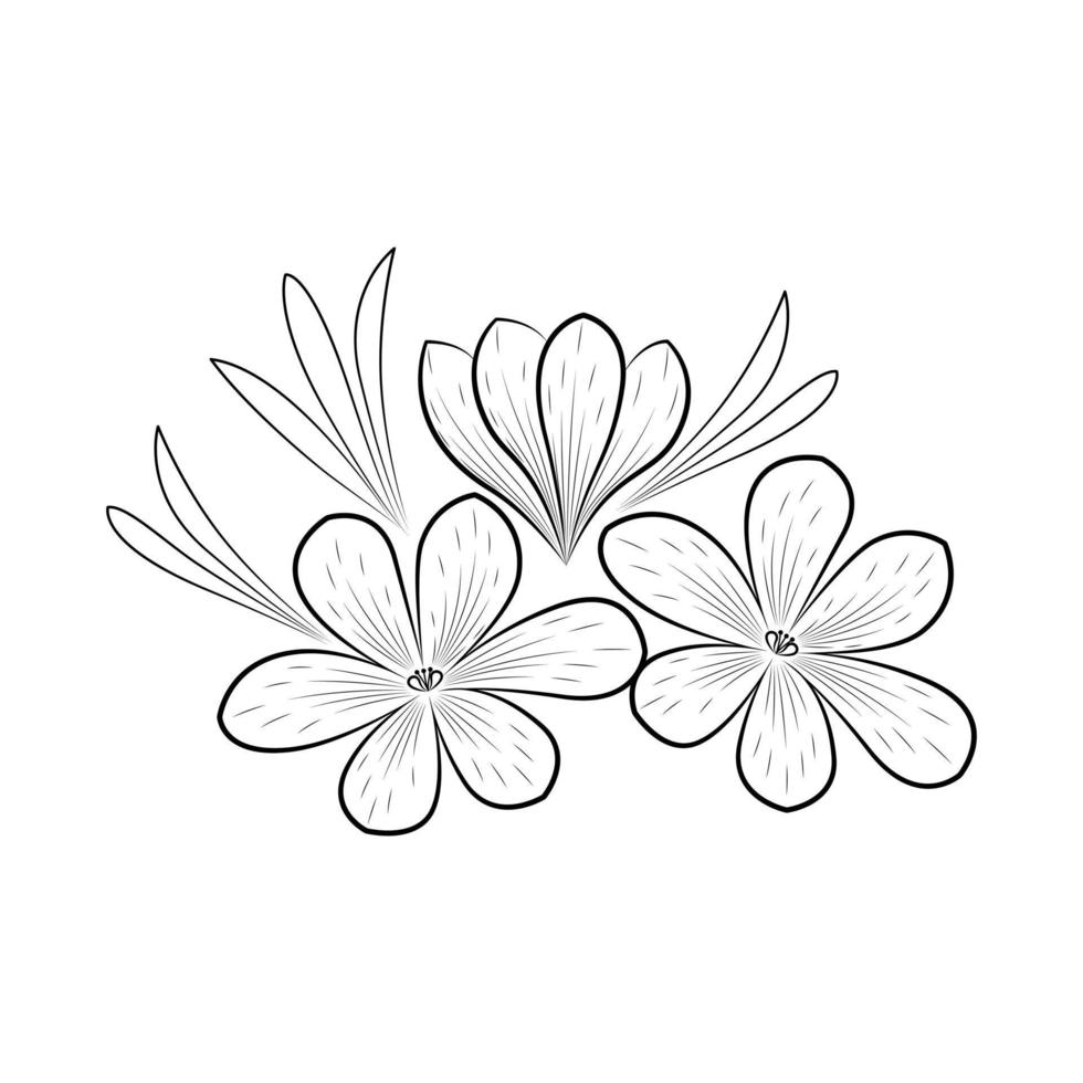 Krokus oder Safran Blume. Blumen- botanisch Blume. isoliert Illustration Element. Vektor Hand Zeichnung Wildblume