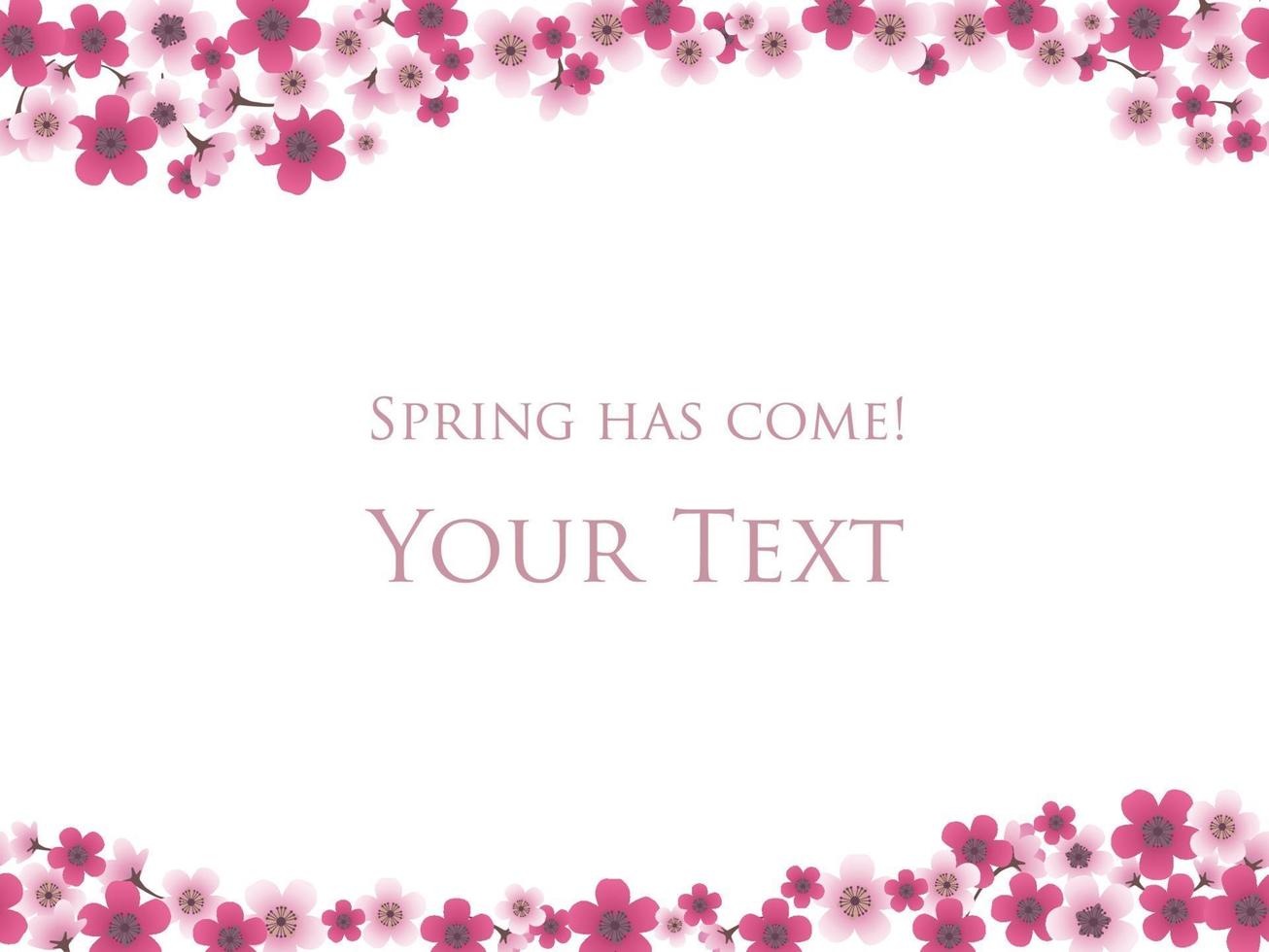 Kirschblütenhintergrund mit Textraum lokalisiert auf einem weißen Hintergrund, Vektorillustration. vektor