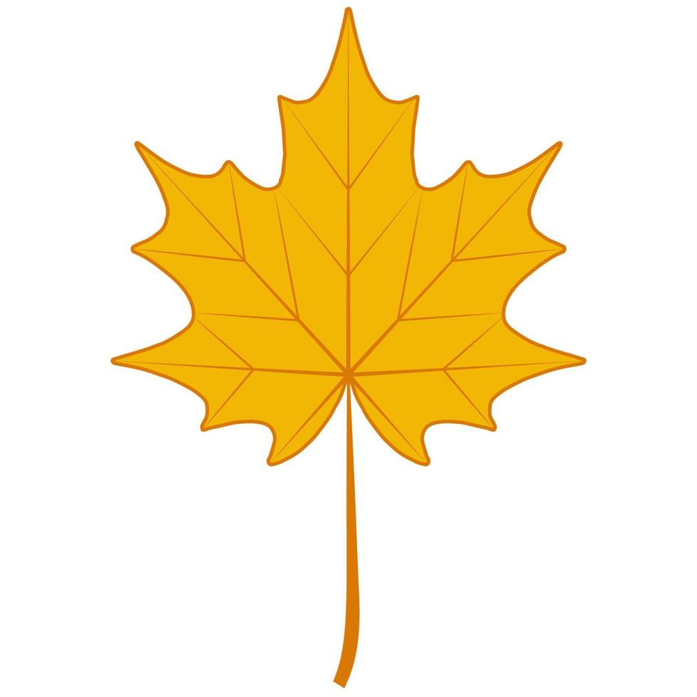 Herbst trocken Ahorn Blatt, Symbol Kanada Ahorn Herbst gefallen Blatt vektor
