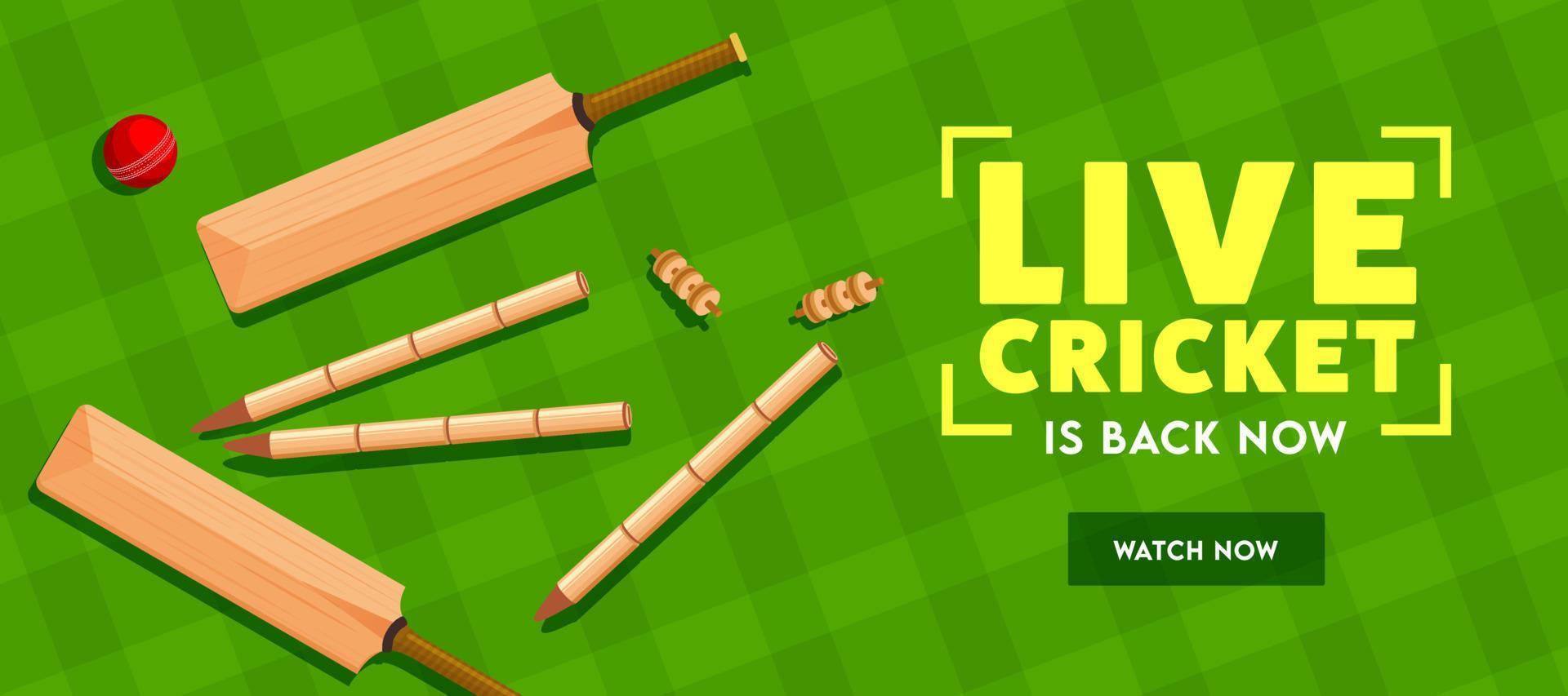 leva cricket är tillbaka nu text med topp se av fladdermus, boll och grind stubbar på grön tartan mönster bakgrund. rubrik eller baner design. vektor