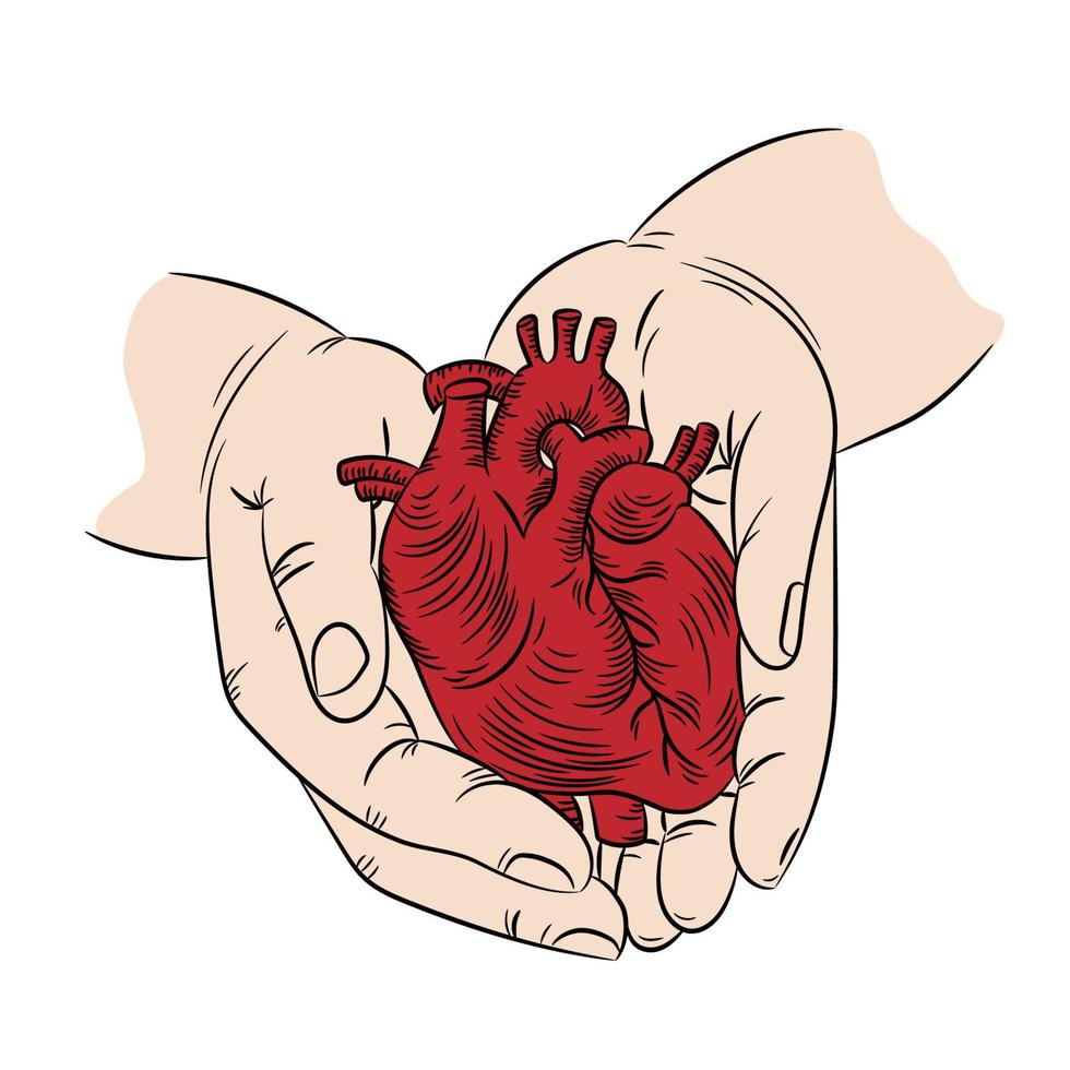 behalten Herz Gesundheit Symbol Medizin Mensch Hand gezeichnet drucken Banner vektor