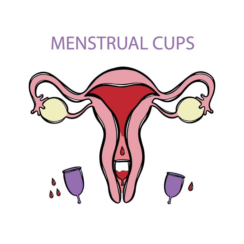 menstruations- koppar noll avfall hand dragen vektor illustration uppsättning