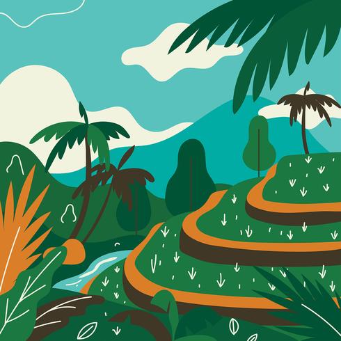 Tropisk Landskap Terasering Paddy FIELD Ubud Vector