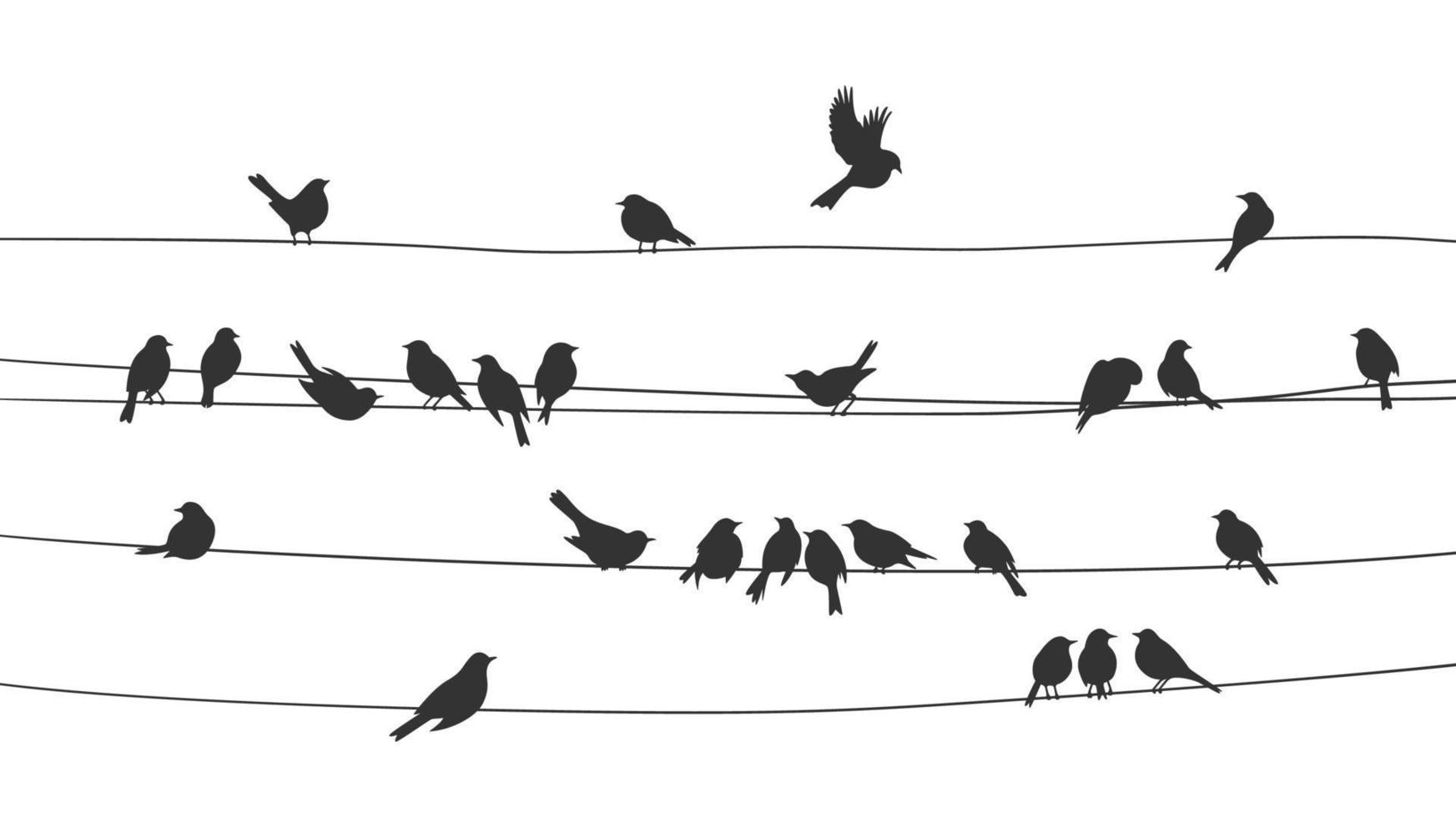 Sparv och domherre fåglar flock på kraft trådar vektor