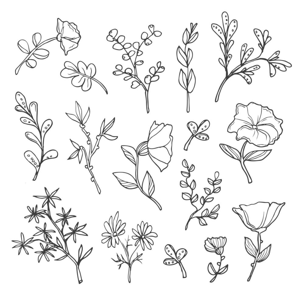 minimalistisch Blumen und Geäst. modern Linie Kunst Kräuter. einstellen von Hand gezeichnet Markieren Symbol. botanisch Elemente zum Logo Design zum Öko Stil, Cafe, Geschäft, Blog, organisch Geschäft. vektor