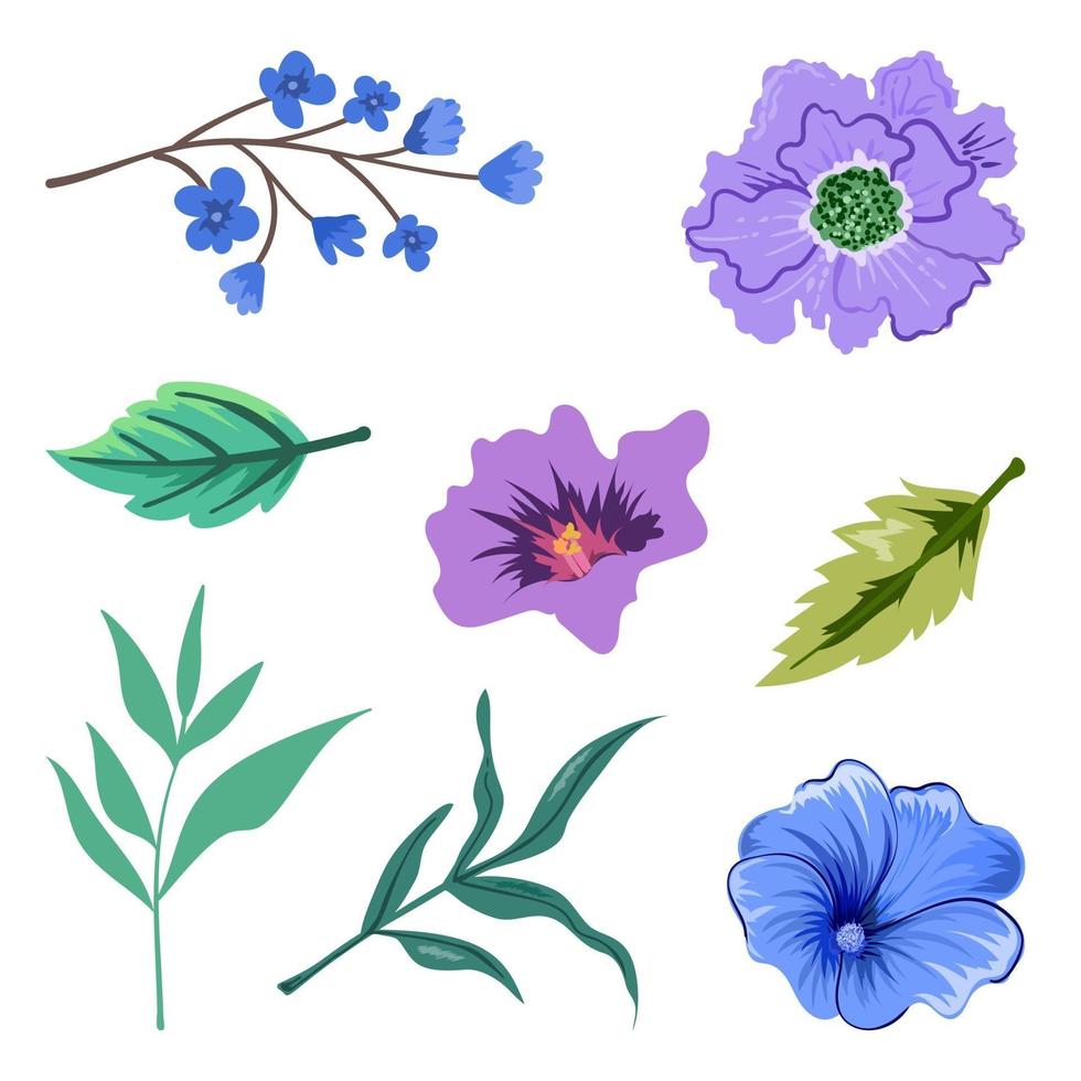 Sammlung von schönen Kräutern und wilden Blumen und Blättern lokalisiert auf weißem Hintergrund. vektor