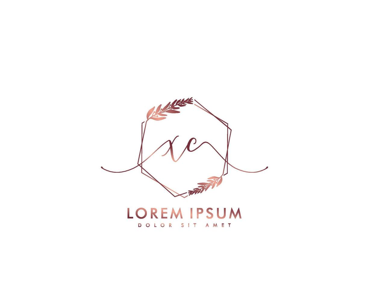 första brev xc feminin logotyp skönhet monogram och elegant logotyp design, handstil logotyp av första signatur, bröllop, mode, blommig och botanisk med kreativ mall vektor