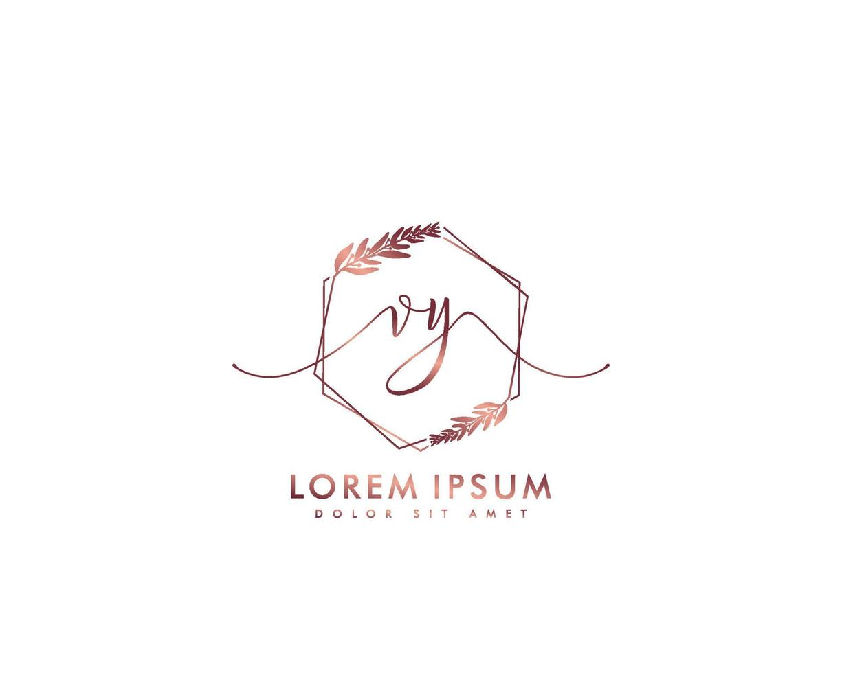 första brev vy feminin logotyp skönhet monogram och elegant logotyp design, handstil logotyp av första signatur, bröllop, mode, blommig och botanisk med kreativ mall vektor