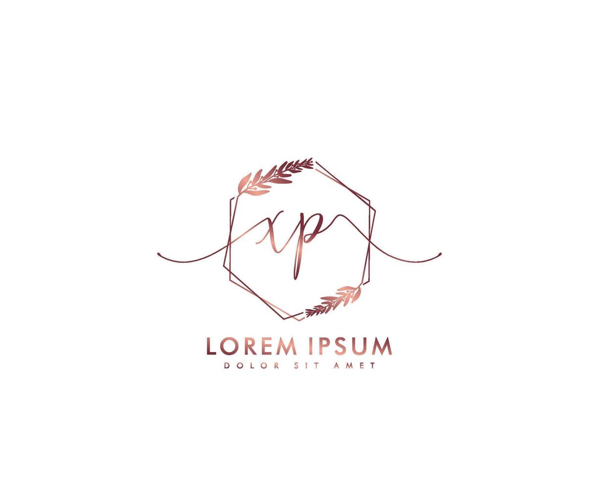 första brev xp feminin logotyp skönhet monogram och elegant logotyp design, handstil logotyp av första signatur, bröllop, mode, blommig och botanisk med kreativ mall vektor