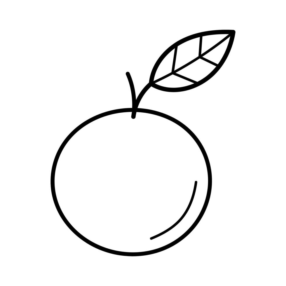 orange. hand dragen skiss ikon av citrus- frukt. isolerat vektor illustration i klotter linje stil.