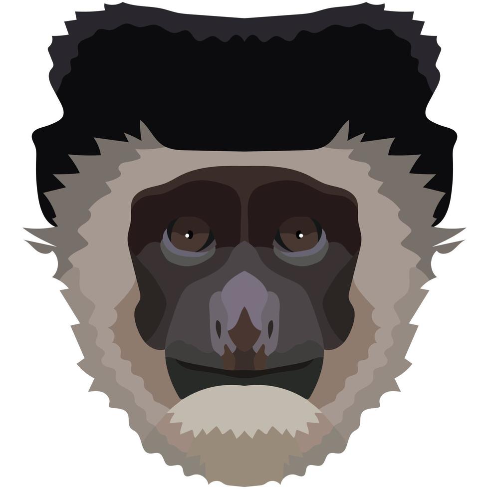 Colobus Gesicht. das Schnauze von ein Affe ist abgebildet. hell Porträt auf ein Weiß Hintergrund. vorausschauend Grafik. Tier Logo. vektor