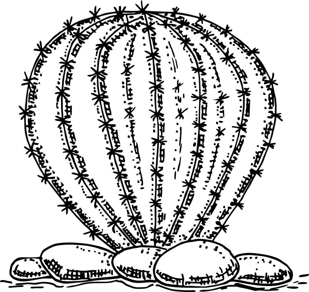 Jahrgang Hintergrund mit Kaktus, Hand ziehen, skizzieren von Kaktus. schwarz und Weiss, Hand gezeichnet, skizzieren Stil vektor