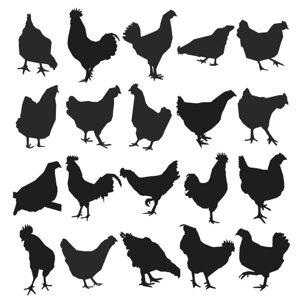 uppsättning kuk, ungtupp, tupp, kyckling, höna, brud, placera stående, fjäderfän silhuetter hand ritade, isolerat vektor