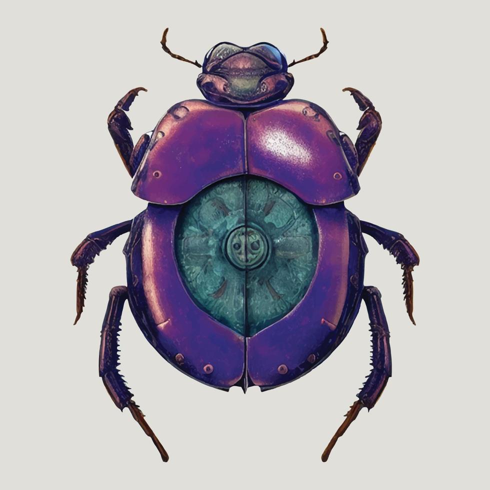 cyclocephalini Laporte violett Käfer Vektor auf Weiß Hintergrund