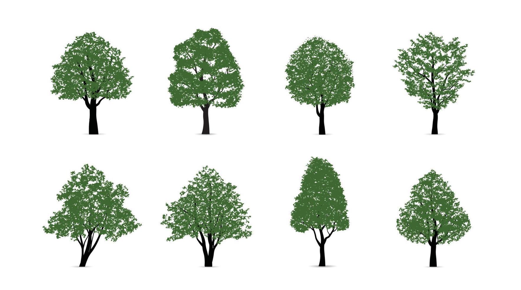 einstellen von Grün Baum isoliert auf Weiß Hintergrund zum Landschaft Design und architektonisch Kompositionen mit Hintergründe. Vektor Illustration.