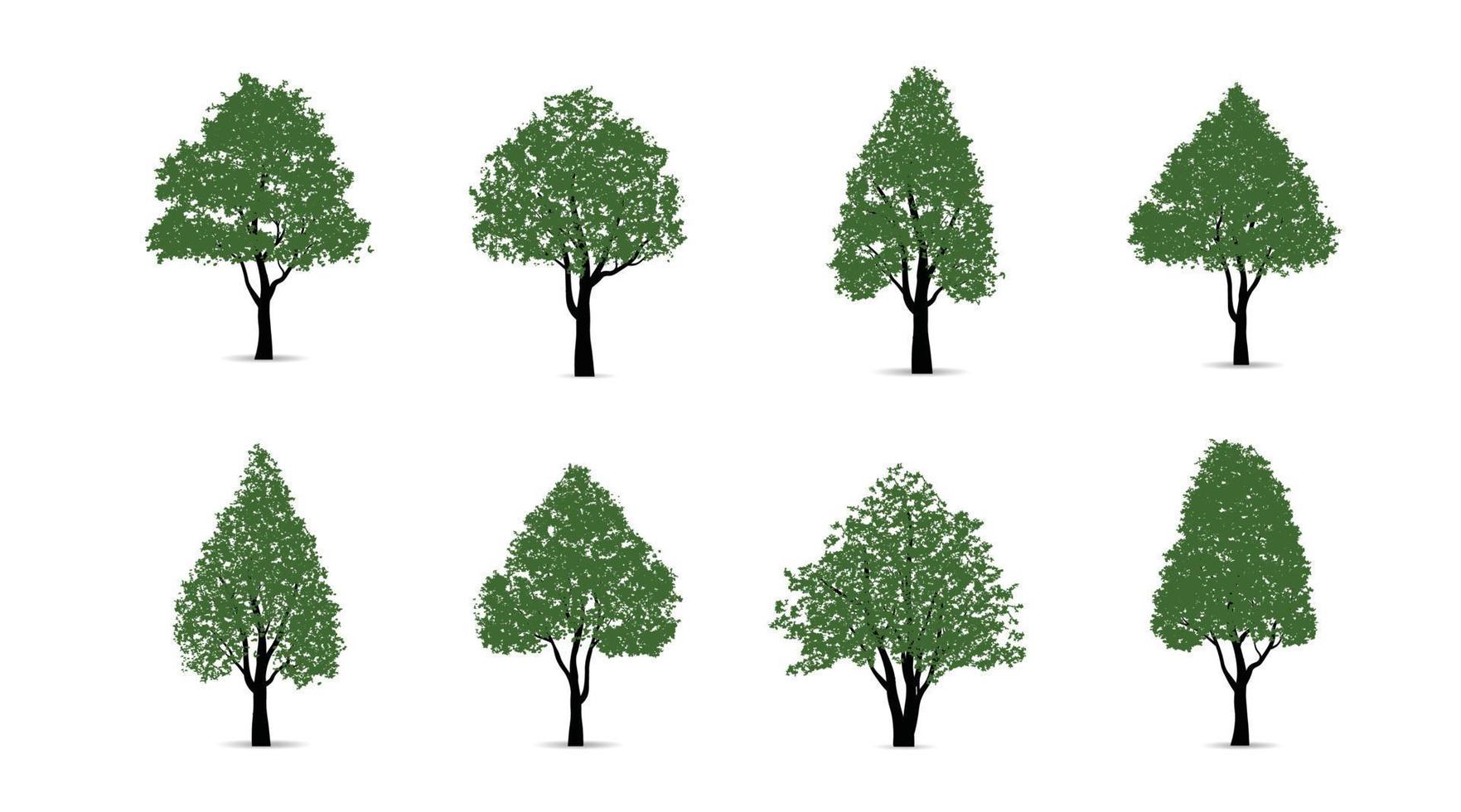 uppsättning av grön träd isolerat på vit bakgrund för landskap design och arkitektonisk kompositioner med bakgrunder. vektor illustration.
