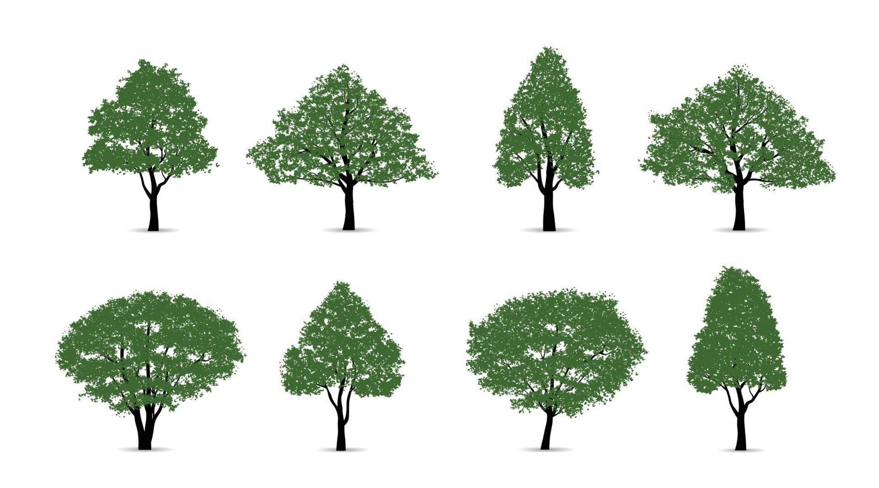 uppsättning av grön träd isolerat på vit bakgrund för landskap design och arkitektonisk kompositioner med bakgrunder. vektor illustration.