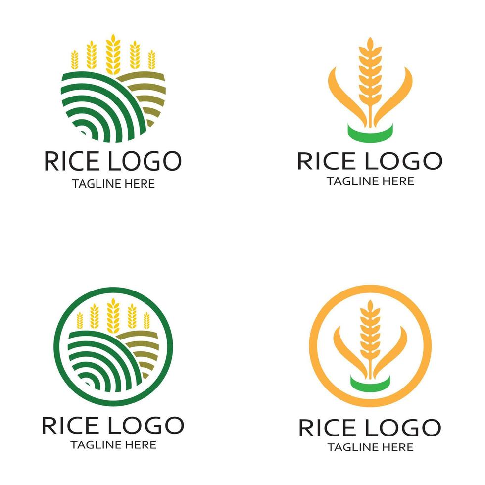 irländare växt logotyp, ris spannmål logotyp, ris, naturligt organisk jordbruk, för företag, företag, jordbruk, produkt, gård butik, jordbruk utrustning, ris lager, med modern minimalistisk vektor