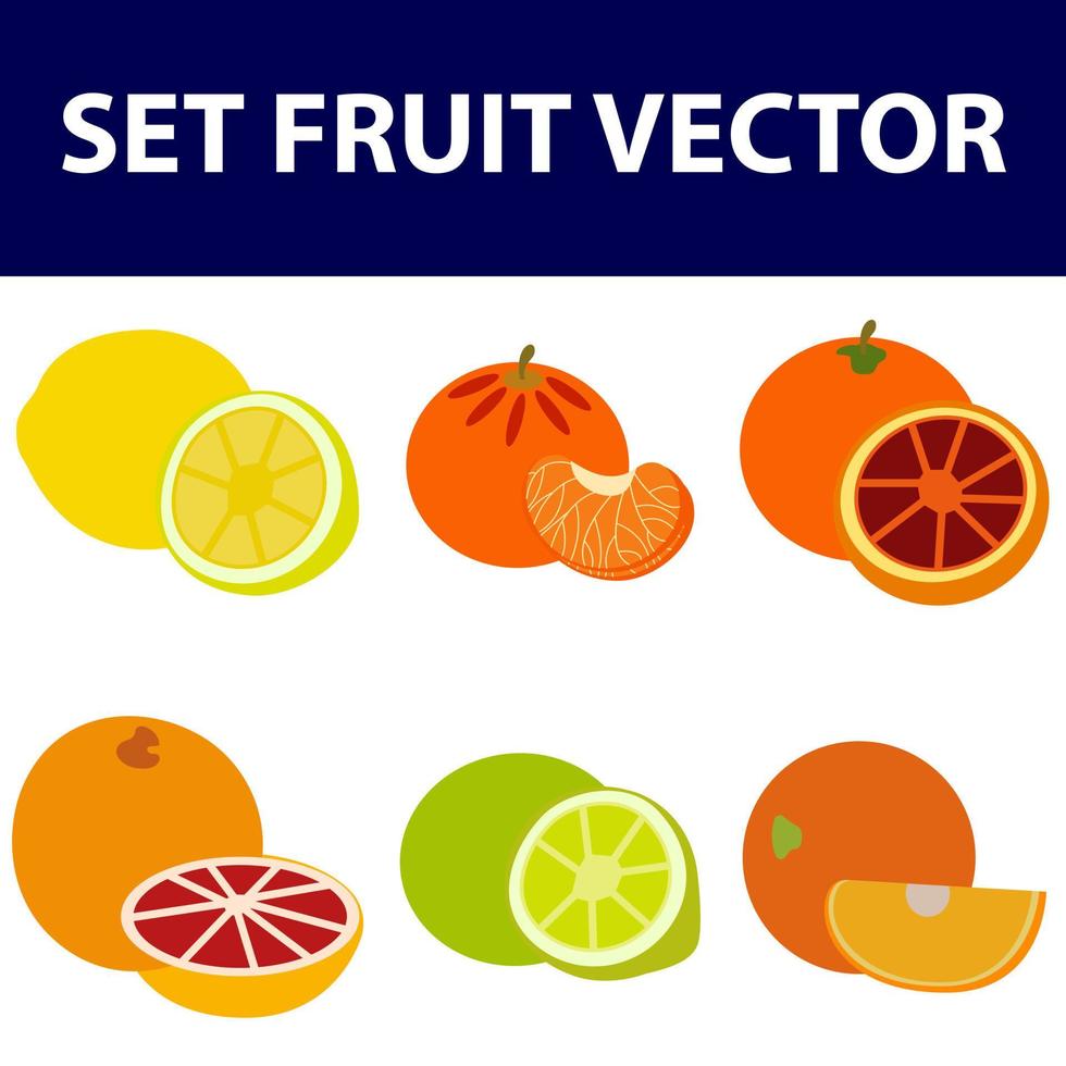 Sammlung von Zitrusfrüchte Scheiben - - orange, Zitrone, Limette und Grapefruit, Symbole Satz, bunt isoliert auf Weiß Hintergrund, Vektor Illustration.