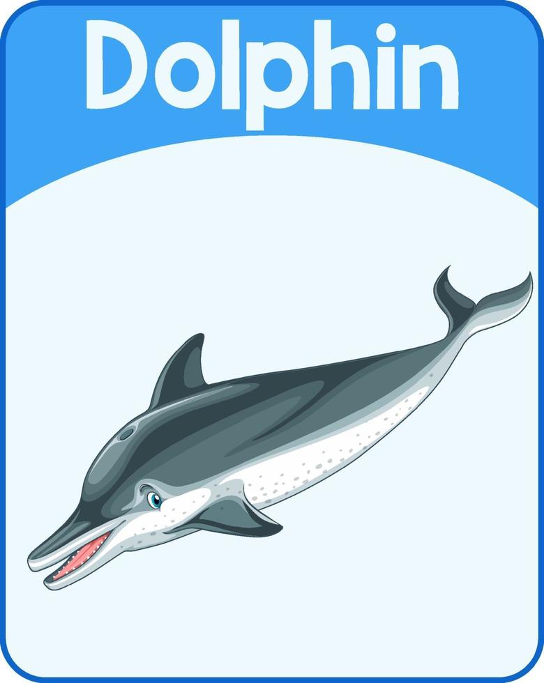pädagogische englische Wortkarte des Delphins vektor