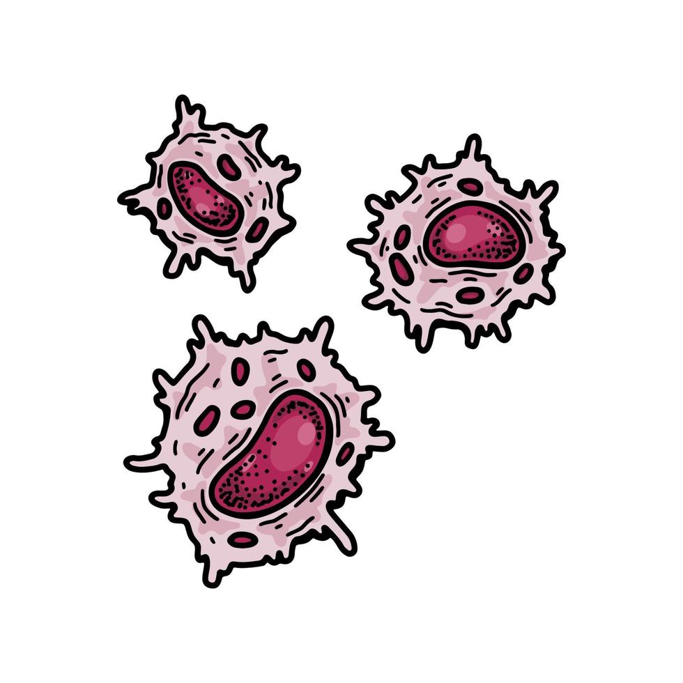 naturlig mördare cell isolerat på vit bakgrund. hand dragen vetenskaplig mikrobiologi vektor illustration i skiss stil. adaptiv immun systemet