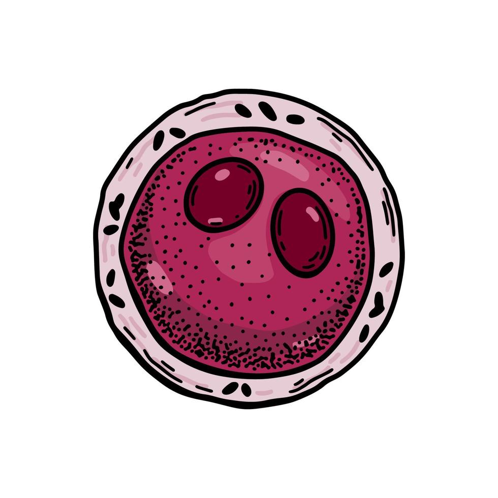 myeloblast blod cell isolerat på vit bakgrund. hand dragen vetenskaplig mikrobiologi vektor illustration i skiss stil