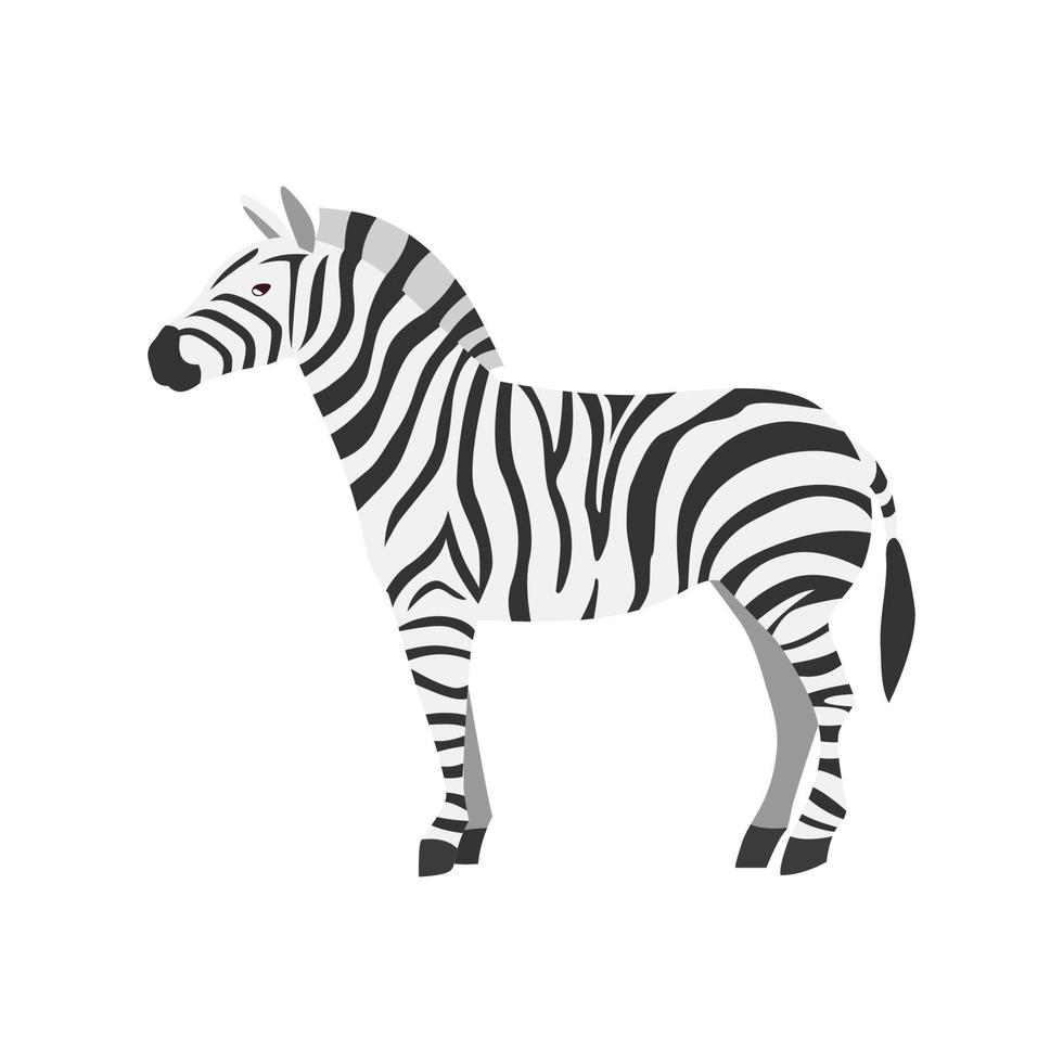 zebra söt tecknad serie vektor