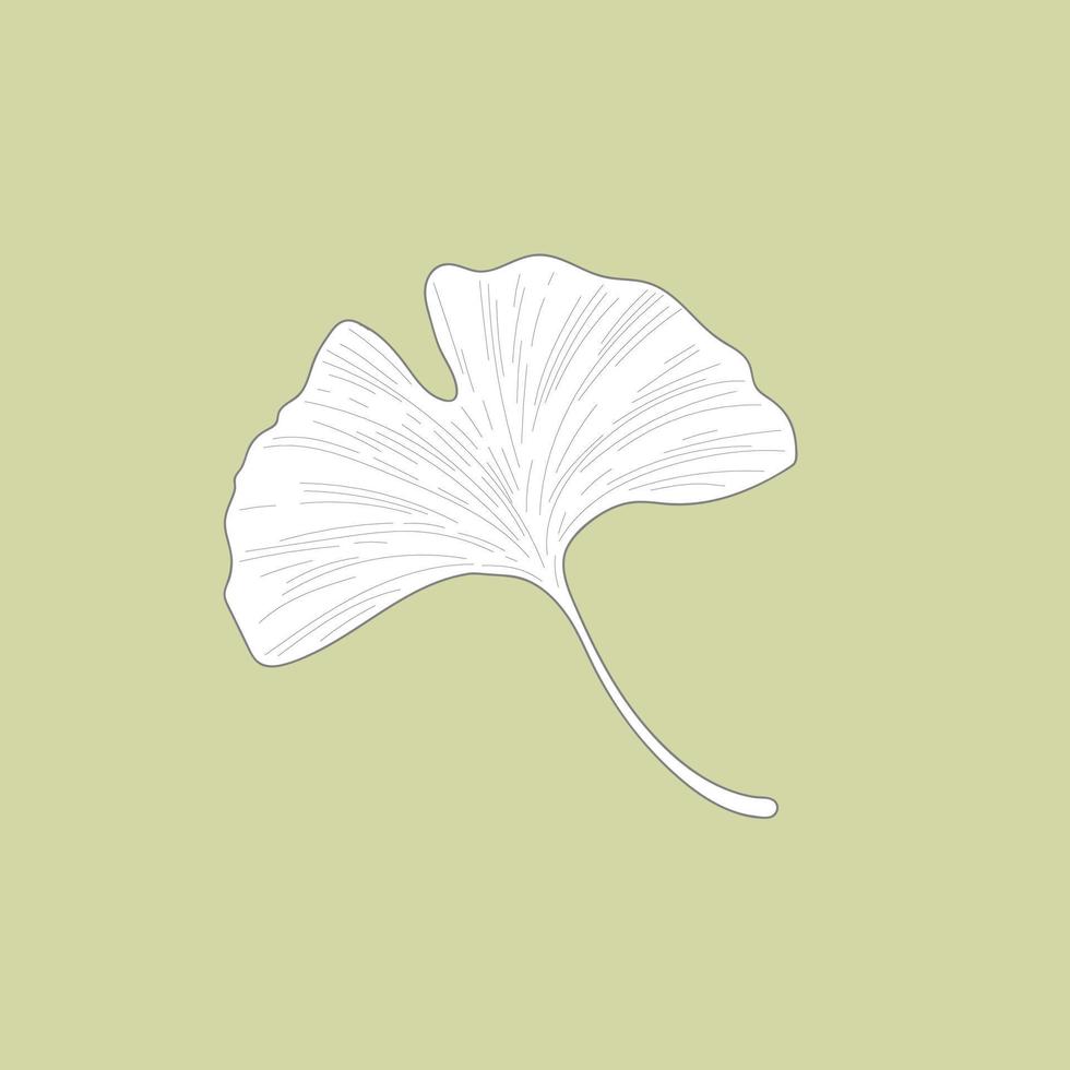 gingko biloba, delikat växt kvist, översikt isolerat vektor illustration.