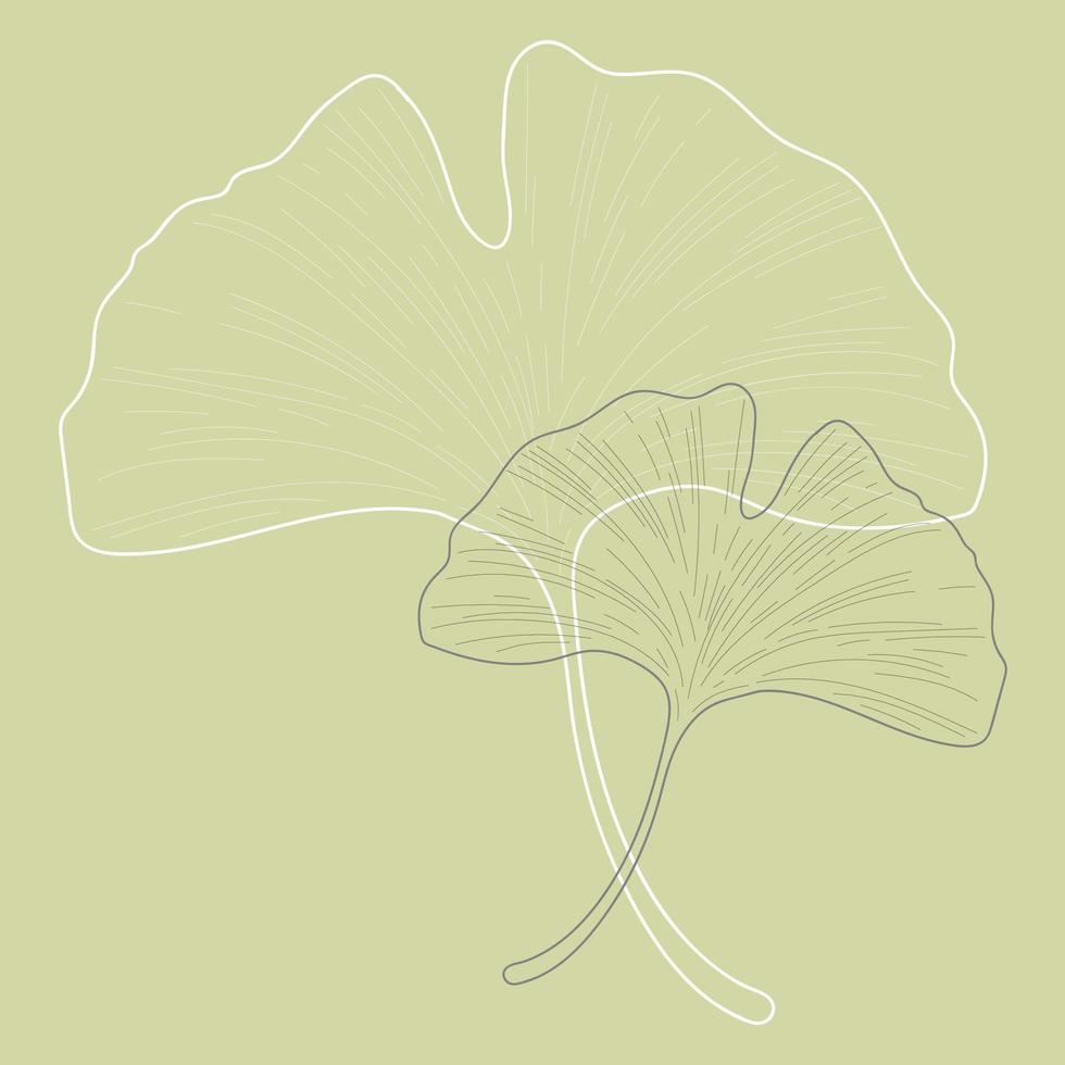 gingko biloba, två delikat växt kvist, översikt isolerat vektor illustration.