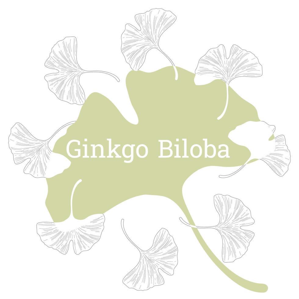 Ginkgo Biloba, Inschrift im das Center von ein Kreis von Pflanzen. Vektor Illustration