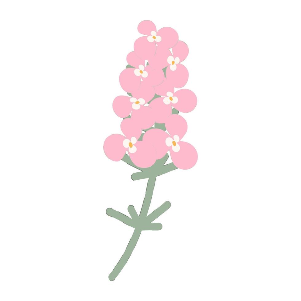 abstrakt bild av en flox blomma i trendig mjuk rosa färger. klistermärke. ikon. isolera. Hej vår vektor